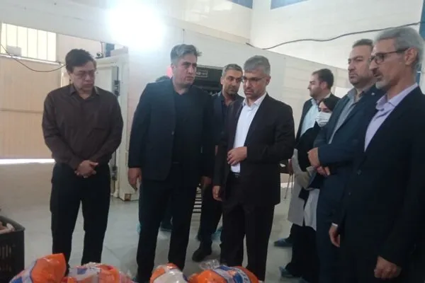۳۶ تن فرآورده دامی فاسد در همدان از چرخه مصرف حذف شد