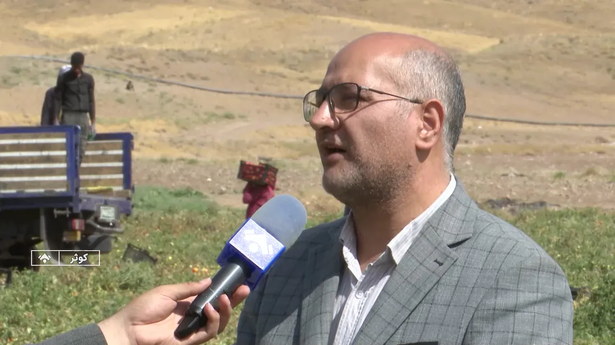 افزایش تولید و صادرات محصولات کشاورزی در فیروزآباد اردبیل
