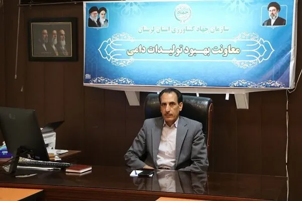 پرواربندی ۳۹۳ هزار رأس بره در لرستان