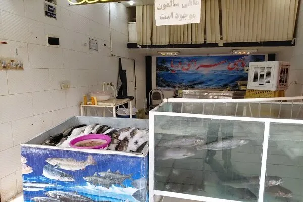 لزوم توسعه عرضه ماهی زنده در آکواریوم‌های استاندارد در بروجرد