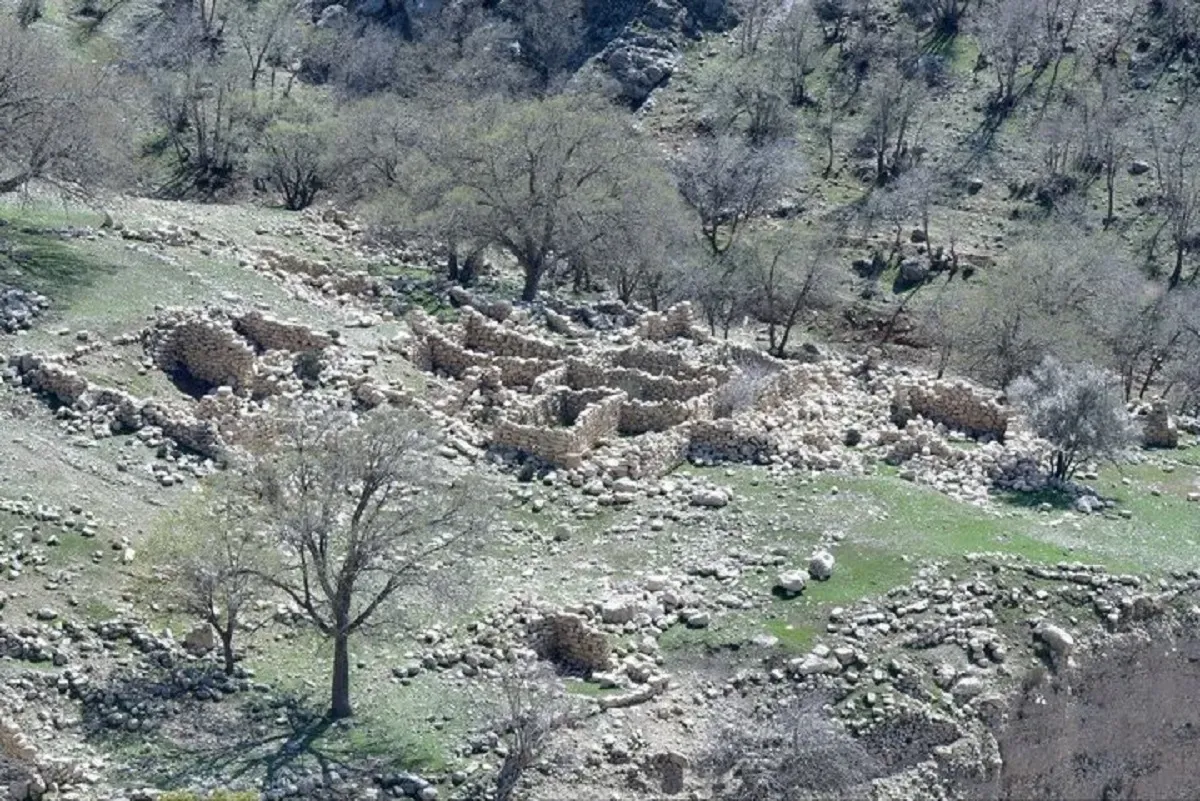 شناسایی روستای صفوی و متروک در جنگلهای استان فارس (+عکس)