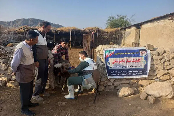 واکسیناسیون نزدیک به ۲ هزار رأس دام در مهرستان