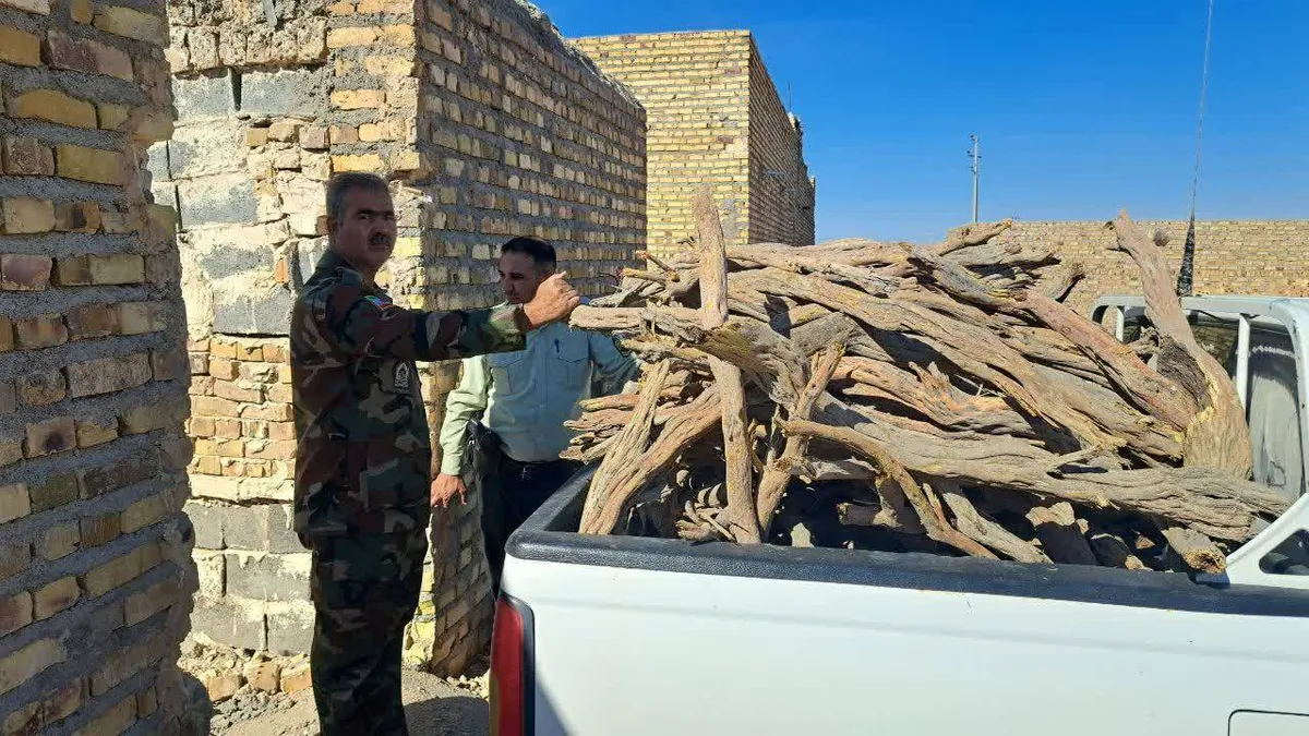 کشف یک تن چوب جنگلی در تایباد