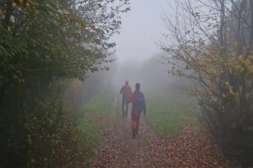 سه کوهنورد مفقود در جنگل‌های نمین نجات یافتند