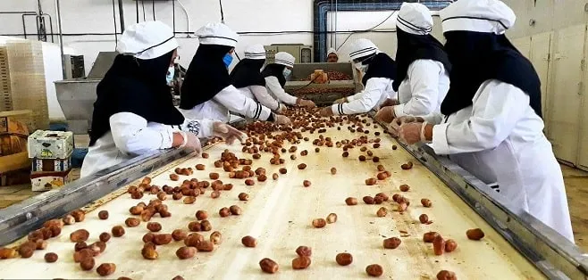اختصاص ۱۰۰۰ میلیارد ریال تسهیلات به کارگاههای بستهبندی خرما در شادگان