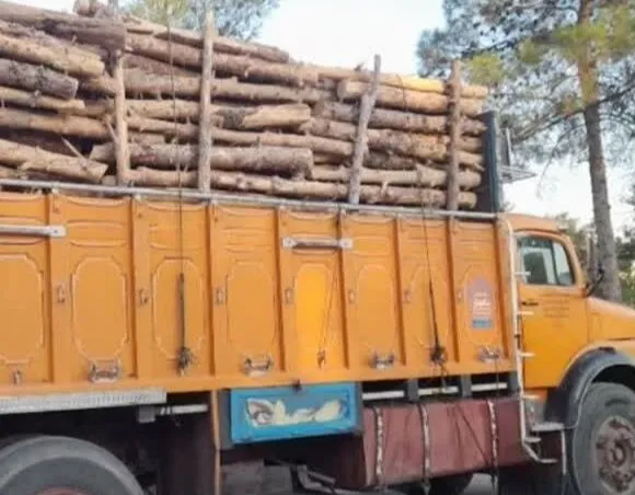 کشف ۱۲هزار کیلوگرم چوب بدونمجوز در جهرم فارس