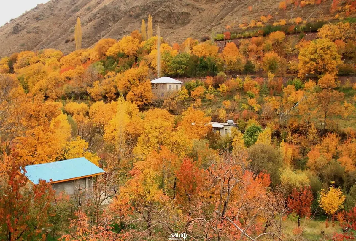 پاییز را همین نزدیکی پیدا کنید/ ۵ مقصد برای سفر یکروزه پاییزی اطراف تهران