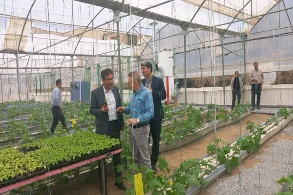 نخستین گلخانه هیدروپونیک هنرستانهای غرب کشور در سنندج راهاندازی شد