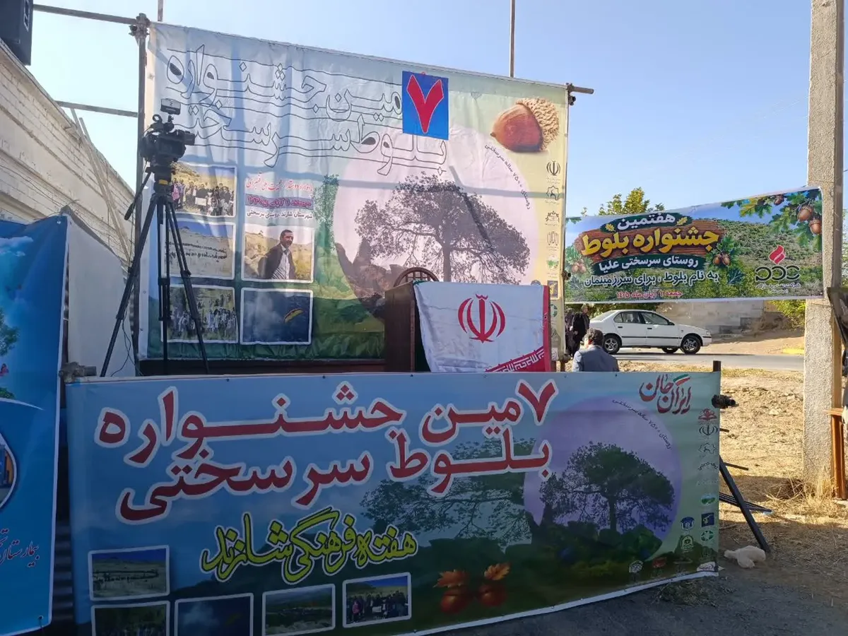 جشنواره بلوط در روستای سرسختی علیا شازند
