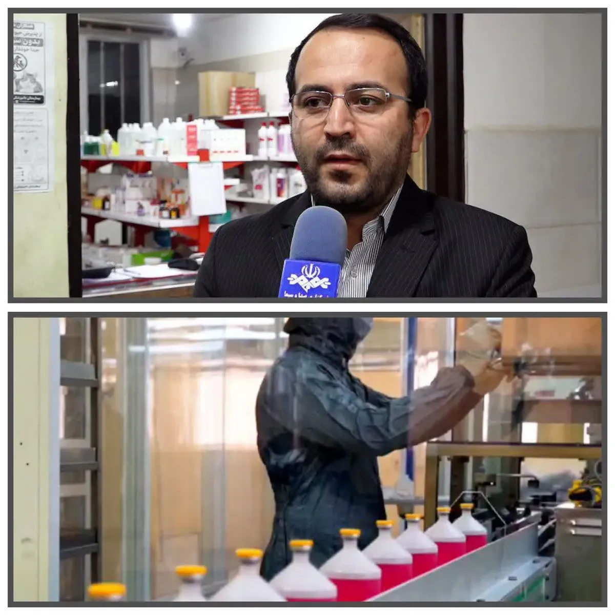 ایمن سازی ۱۷ میلیون نوبت - راس دام در آذربایجان غربی