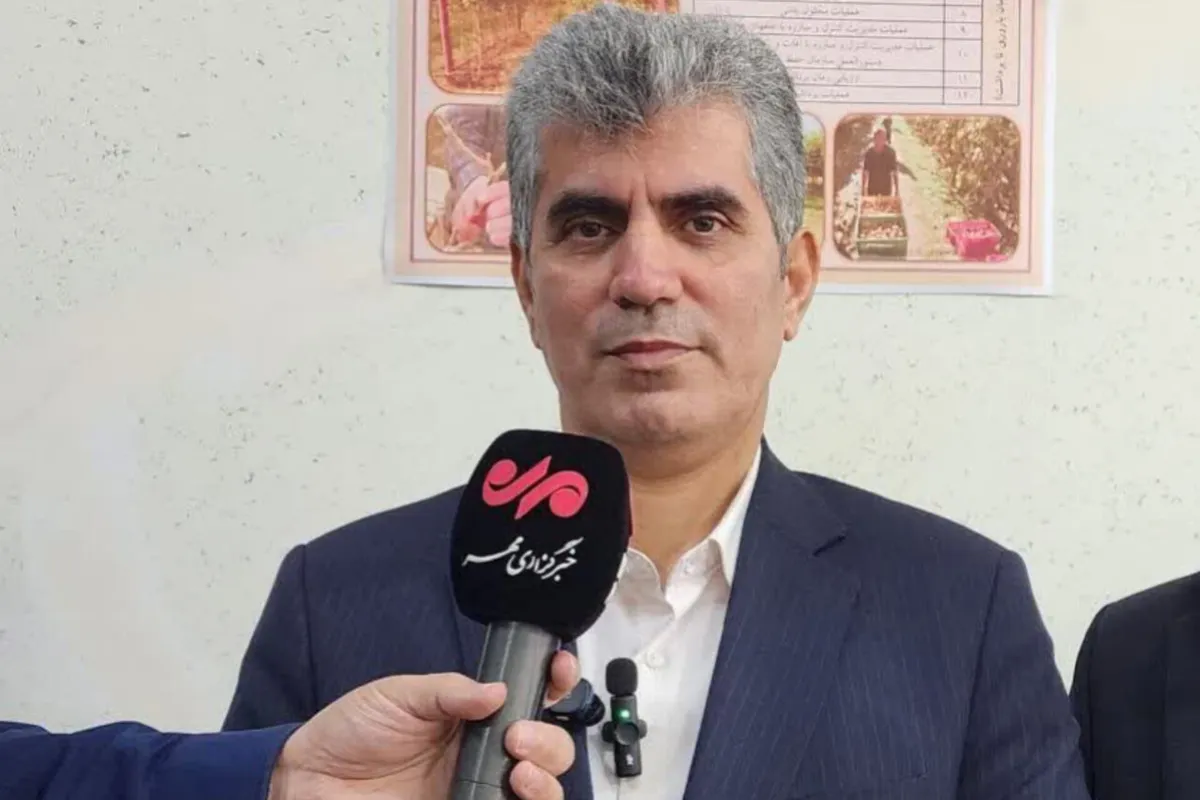 صادرات کیوی گیلان از مرز ۲۷ هزار تُن گذشت