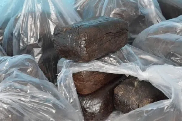 کشف بیش از ۵۱ کیلوگرم تریاک در ورامین؛ ۲ قاچاقچی دستگیر شدند