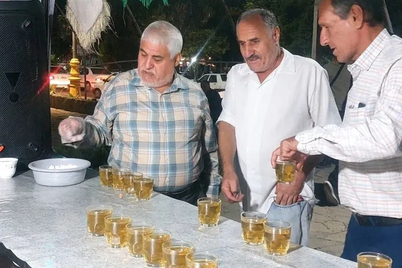 اخبار بهارستان , امام رضا (ع) , موکب رضوی , خادمیاران رضوی ,
