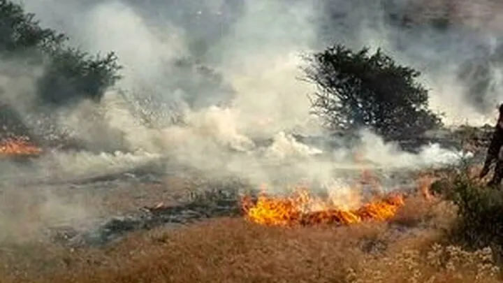 صدور کیفرخواست برای ۳۴ متهم به آتش سوزی و تخریب منابع طبیعی در ممسنی فارس