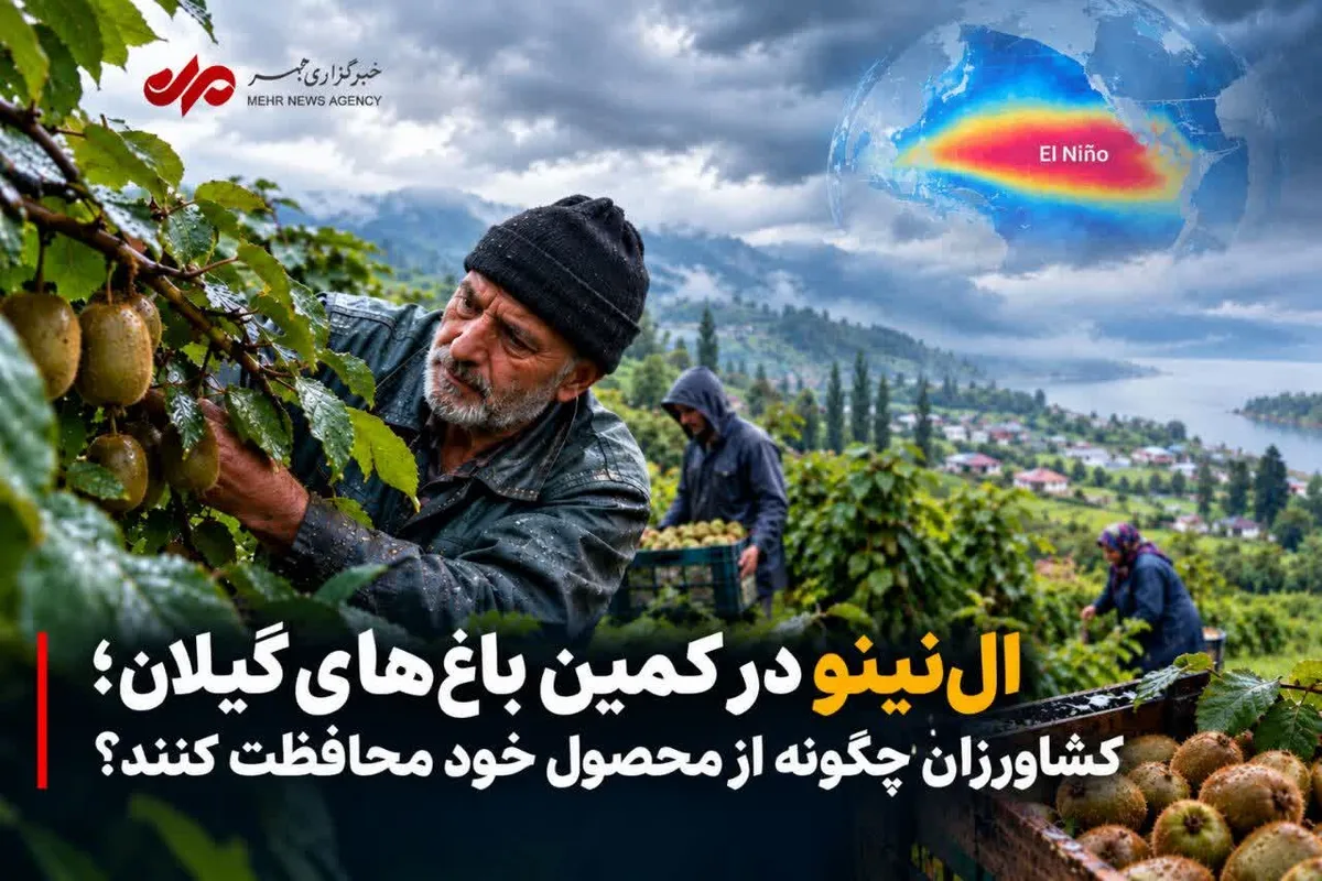 اِل‌نینو در کمین باغات گیلان؛ کشاورزان چگونه از محصول خود محافطت کنند؟