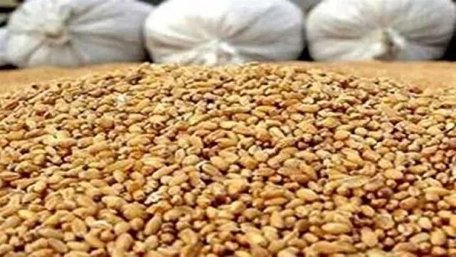 کشف ۴۵ تن انواع نهاده‌های دامی و خوراکی قاچاق در قم