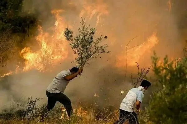 کاهش ۸۵ درصدی آتشسوزی در جنگلها و مراتع لرستان