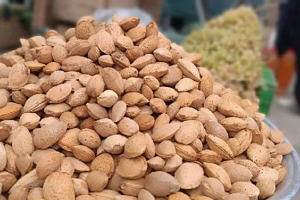 سومین جشنواره بادام و عسل بیلوار در گندمآباد برگزار شد