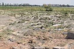 خسارت بارندگی به زمین‌های کشاورزی بندرخمیر هرمزگان