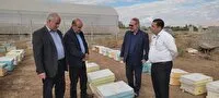 سرشماری سراسری زنبورستانهای مرند از دوم آبانماه