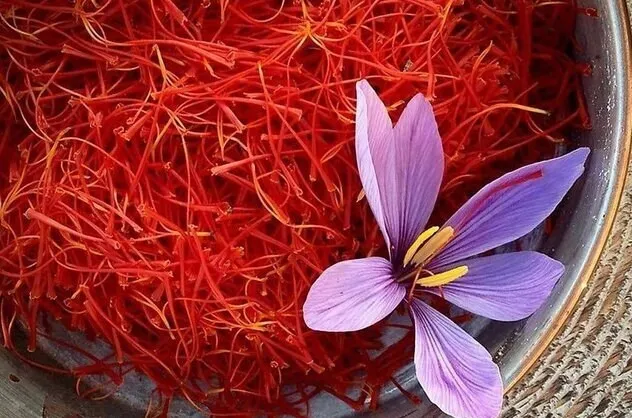 کشاورزی , اخبار شیراز , اخبار استان فارس ,