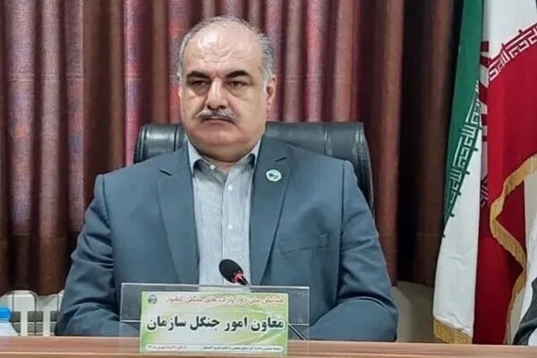 پورمقدم: سند مدیریت پایدار جنگلهای زاگرس بهزودی ابلاغ میشود