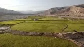شناسایی ۱۷ هکتار اراضی بایر در خوزستان؛ تأکید بر ضرورت استمرار کشت و حفاظت از اراضی کشاورزی
