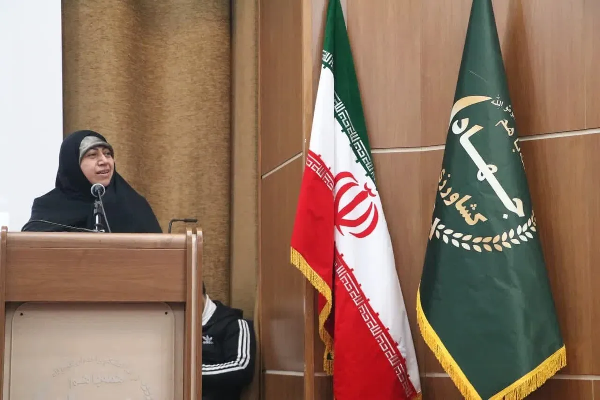 خشکسالی و ضعف صنایع فرآوری، زیتون‌کاران طارم را تحت فشار قرار داده است
