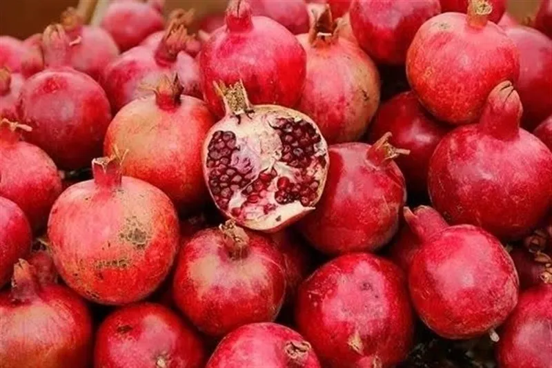 فارس؛ قطب اول تولید انار کشور با تولید 500 هزار تن یاقوت سرخ