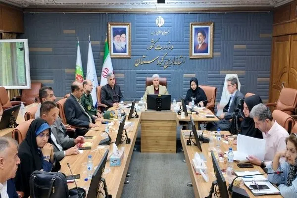 سجادی: سرانه کتابخانههای سنندج فقط نیم جلد به ازای هر نفر است