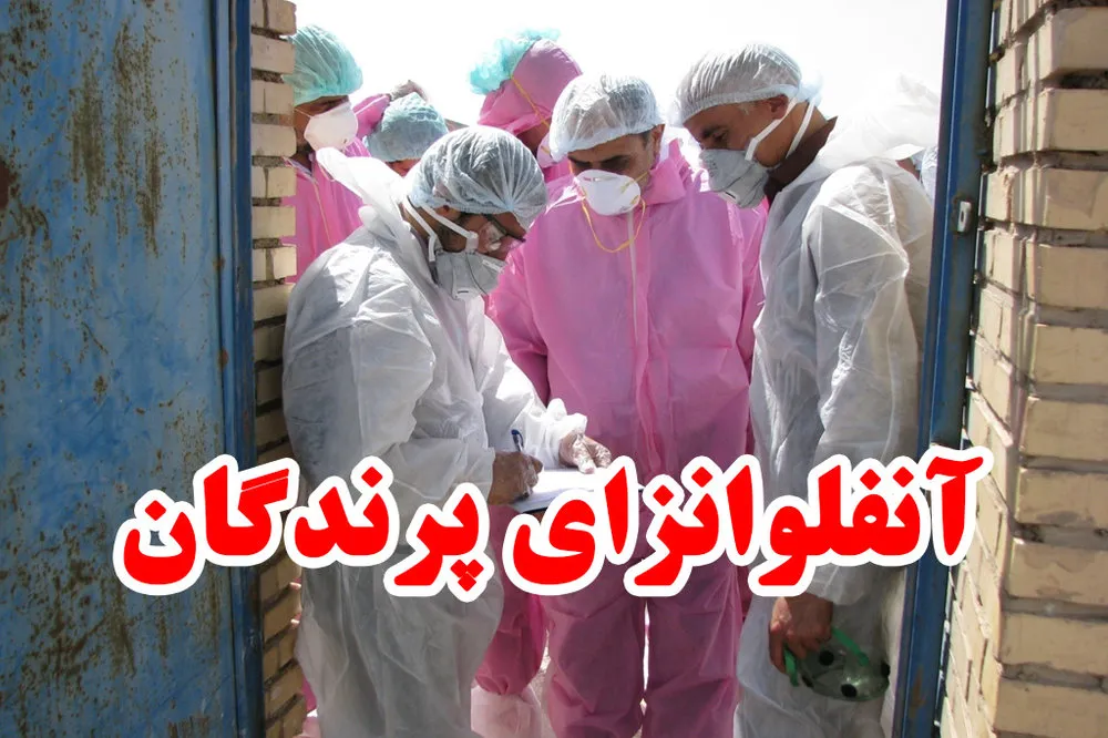 پایش زیستگاه‌های حیات‌وحش خدابنده برای پیشگیری از آنفلوانزای پرندگان