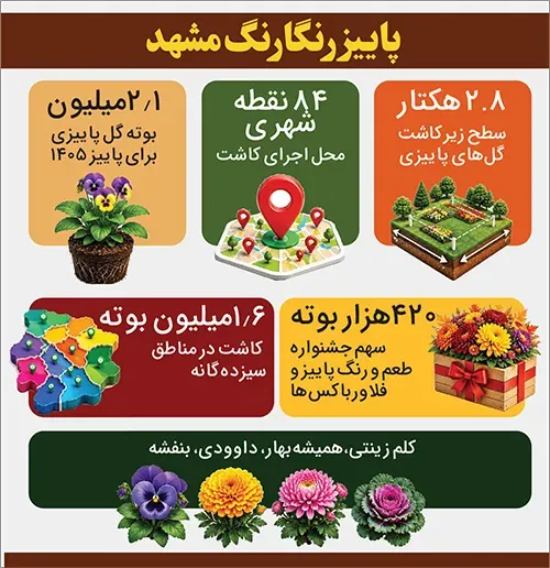کاشت بیش از ۲‌میلیون بوته گل پاییزی در مشهد