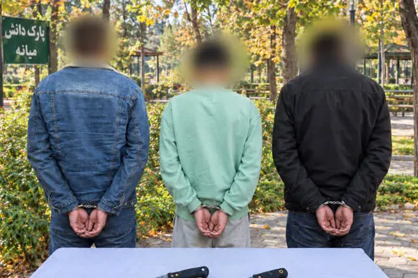 دستگیری ۳ نفر از مخلان نظم عمومی در میانه