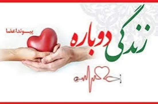 اهدای عضو جوان ۲۴ ساله مشهدی به بیماران نیازمند عضو