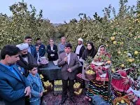 برگزاری جشنواره سیب رباط سفید در مشهد