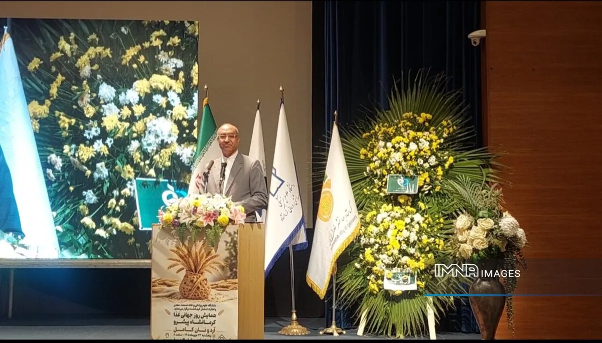 کرمانشاه بهدنبال گسترش نان کامل؛ از کارخانههای آرد تا سفره مردم