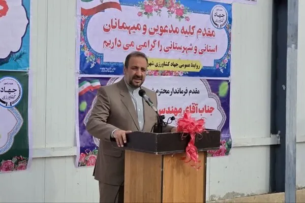 نهاوند نیازمند سردخانه ۳۰ هزار تنی برای نگهداری سیب است