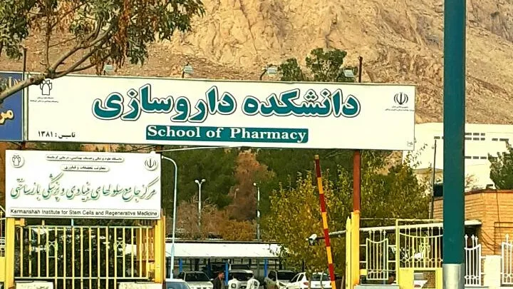 دانشمندی که ارکان زندگی را خوب میشناسد/ بانوی شیمیدان کرمانشاهی را بیشتر بشناسید