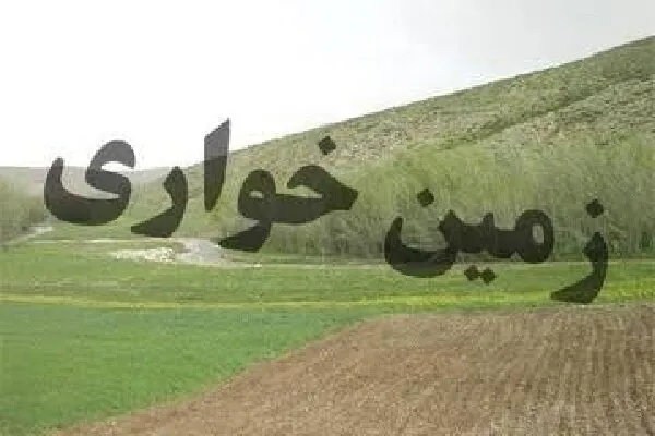 جلوگیری از کاشت غیرمجاز پاجوش نخل در اراضی ملی شهرستان رودان
