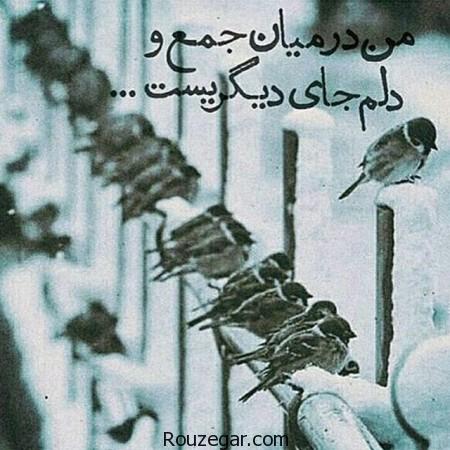  عکس عاشقانه, عکس عاشقانه جدید, عکس عاشقانه غمگین, عکس عاشقانه زیبا,عکس عاشقانه کارتونی, عکس عاشقانه فانتزی, دانلود عکس عاشقانه,تصاویر عاشقانه