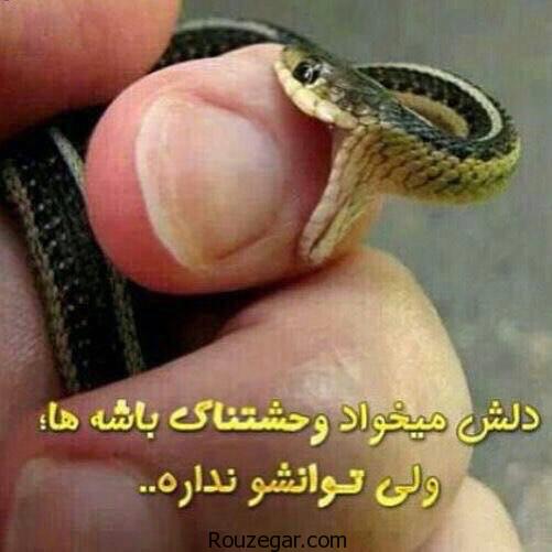 عکس خنده دار دختر,عکس خنده دار ايراني,عکس خنده دار جديد,عکس خنده دار بي ادبي,عکس خنده دار خفن,عکس خنده دار خارجي