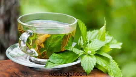 خواص چای سبز, چای سبز,