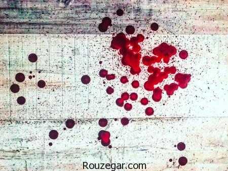 الناز شاکردوست,اثر هنری زیبا الناز شاکردوست