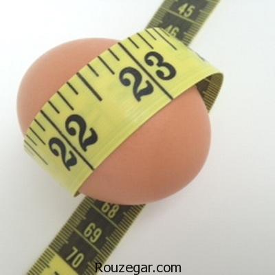 ‎کاهش وزن با تخم مرغ