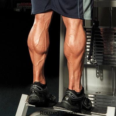 ‎نکاتی برای داشتن عضلات ساق پا