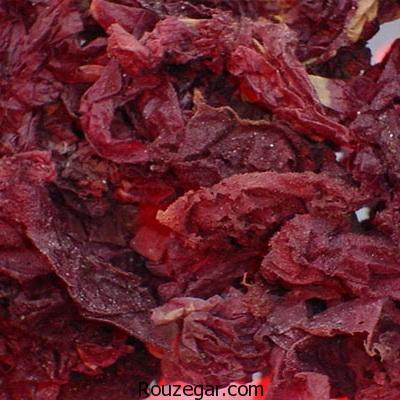 ‎فواید جلبک قرمز برای پوست