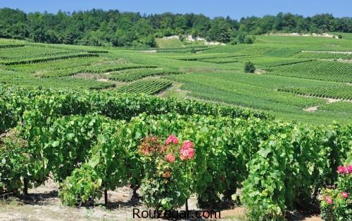 مناطق دیدنی فرانسه، مناطق گردشگری فرانسه