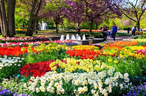  مناطق دیدنی هلند، گردشگری هلند