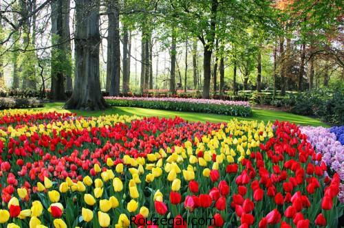 مناطق دیدنی هلند، گردشگری هلند