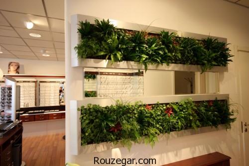 دیوارهای جدا کننده، دیوارهای جدا کننده سالن پذیرایی